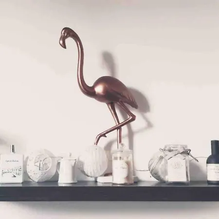 Appartement Le Xv Nancy