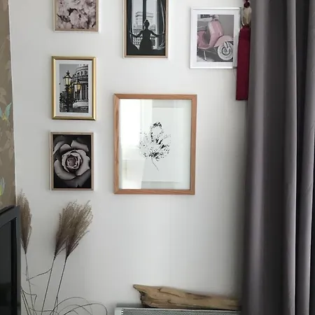 Apartment Le Xv *