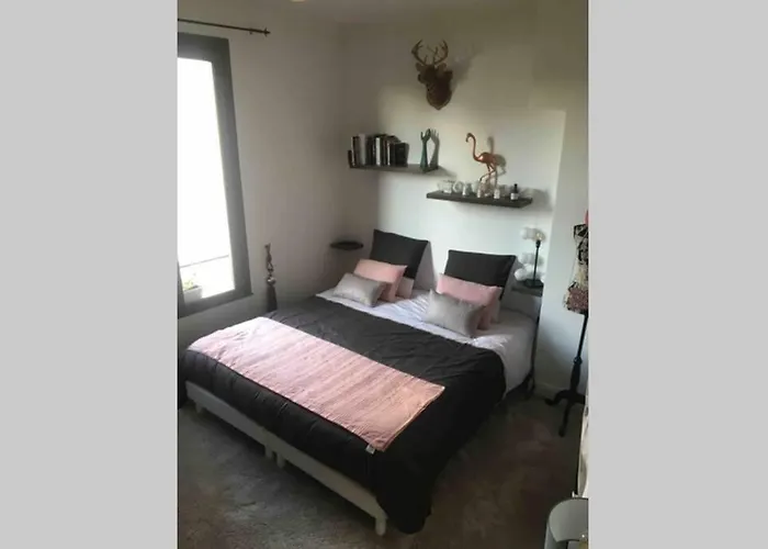 Apartament Le Xv *